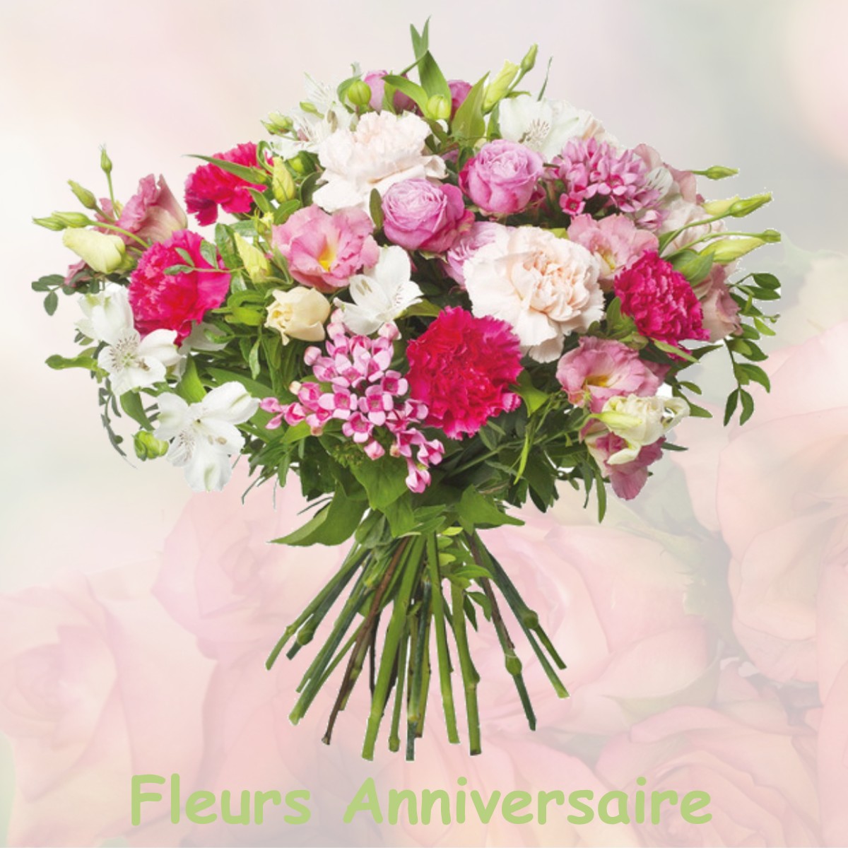 fleurs anniversaire PRUNAY-LE-TEMPLE